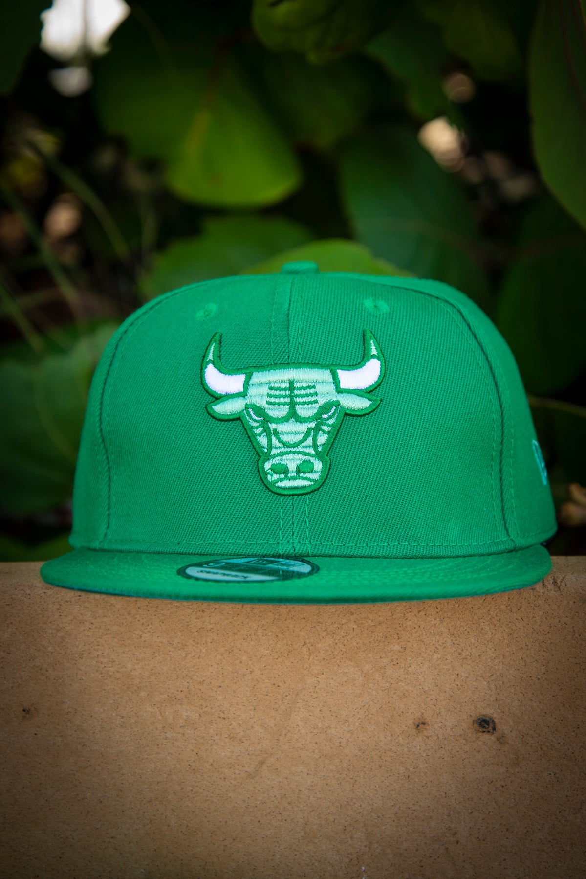Chicago Bulls Earth 6X Champs 9FIFTY New Era Fits Snapback Hat by Devious Elements Apparel