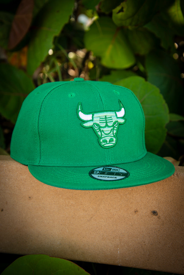 New era Chicago Bulls Metallic Logo 9Fifty® Snapback Cap Green