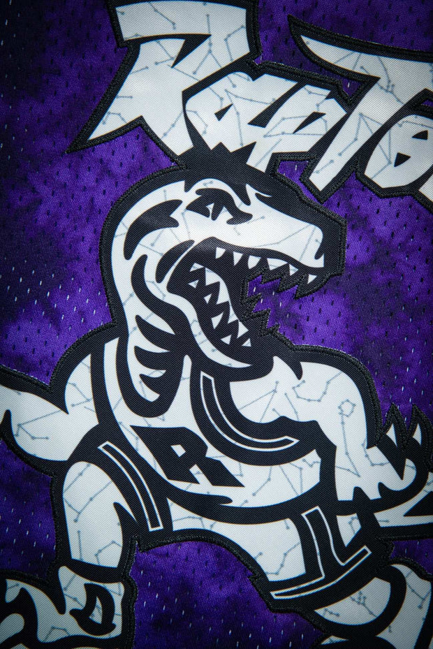 Tie-Dye PURPLE Vince Carter Toronto Raptors The Dunk Jersey T-Shirt Shirt