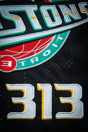 Regata NBA Detroit Pistons, Slim Shady #313 #eminem #shady