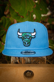 Chicago Bulls Earth 6X Champs 9Fifty New Era Fits Snapback Hat New Era Fits Hats Chicago Bulls Earth 6X Champs 9Fifty New Era Fits Snapback Hat Chicago Bulls Earth 6X Champs 9Fifty New Era Fits Snapback Hat - Devious Elements Apparel