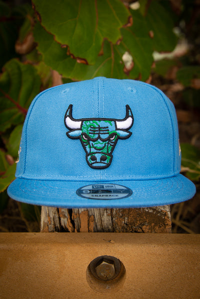 Chicago Bulls Earth 6X Champs 9Fifty New Era Fits Snapback Hat New Era Fits Hats Chicago Bulls Earth 6X Champs 9Fifty New Era Fits Snapback Hat Chicago Bulls Earth 6X Champs 9Fifty New Era Fits Snapback Hat - Devious Elements Apparel