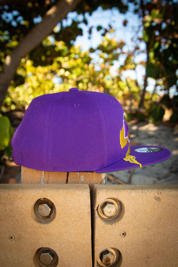 New Era Los Angeles Lakers Team Tie Dye Purple 9Twenty Cap