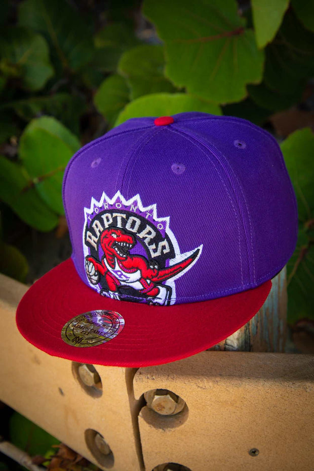 Toronto Raptors Purple Oversize Logo hat-NWT Mitchell & Ness